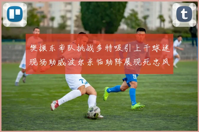 樊振东率队挑战多特吸引上千球迷现场助威波尔亲临助阵展现死忠风采